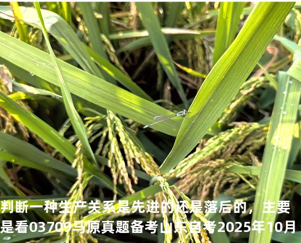 判断一种生产关系是先进的还是落后的，主要是看 03709 马原真题 备考山东自考2025年10月