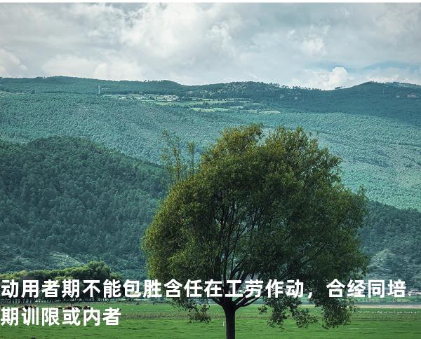 动用者期不能包胜含任在工劳作动，合经同培期训限或内者
