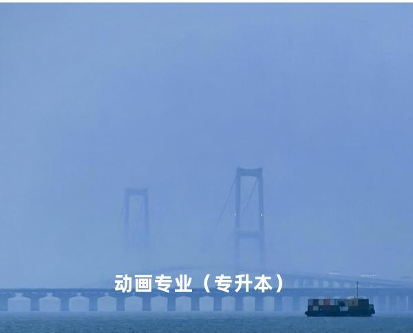 动画专业（专升本）