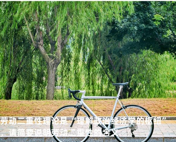 劳动二重性理论是“理解政治经济学的枢纽”，请简要说明劳动二重性的含义