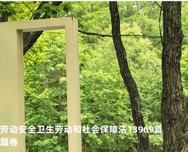 劳动安全卫生 劳动和社会保障法   13969 真题卷