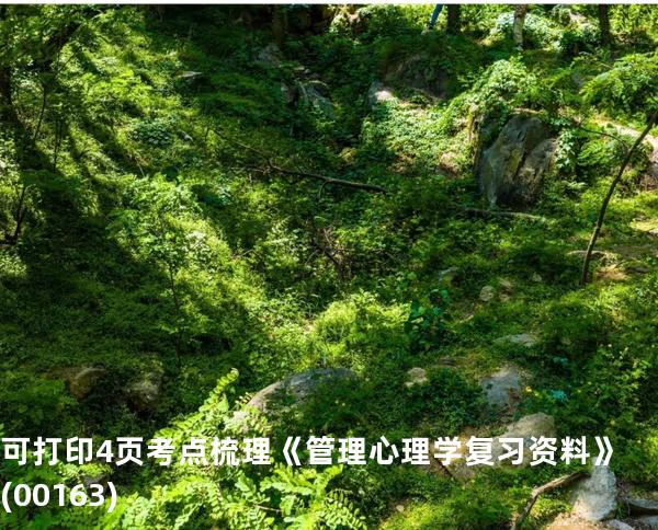 可打印4页考点梳理《管理心理学复习资料》(00163)