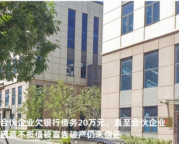 合伙企业欠银行债务 20 万元，直至合伙企业因资不抵债被宣告破产仍未偿还