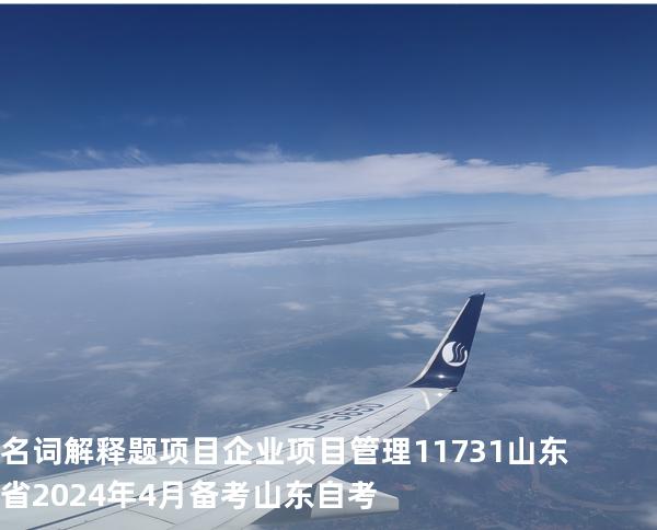 名词解释题  项目 企业项目管理 11731 山东省2024年4月 备考山东自考