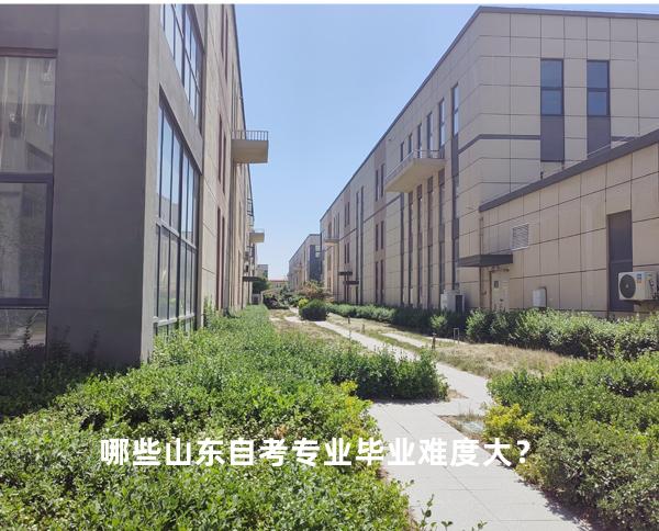 哪些山东自考专业毕业难度大？