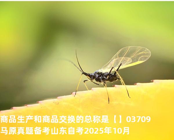 商品生产和商品交换的总称是【】03709 马原真题 备考山东自考2025年10月