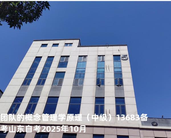 团队的概念 管理学原理（中级）13683备考山东自考2025年10月