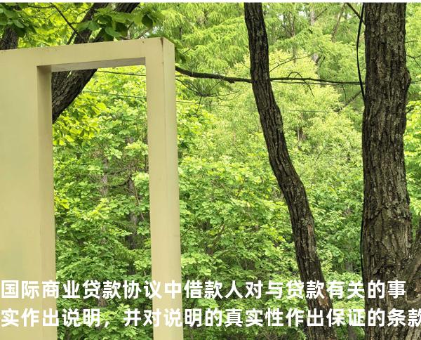 国际商业贷款协议中借款人对与贷款有关的事实作出说明，并对说明的真实性作出保证的条款被称为