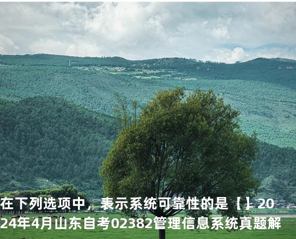 在下列选项中，表示系统可靠性的是【】2024 年 4 月 山东自考 02382管理信息系统 真题解