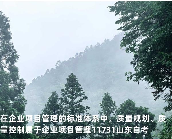 在企业项目管理的标准体系中，质量规划、质量控制属于 企业项目管理 11731 山东自考