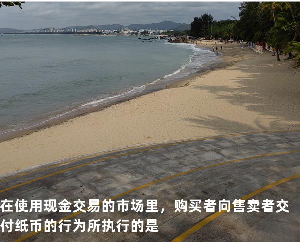在使用现金交易的市场里，购买者向售卖者交付纸币的行为所执行的是