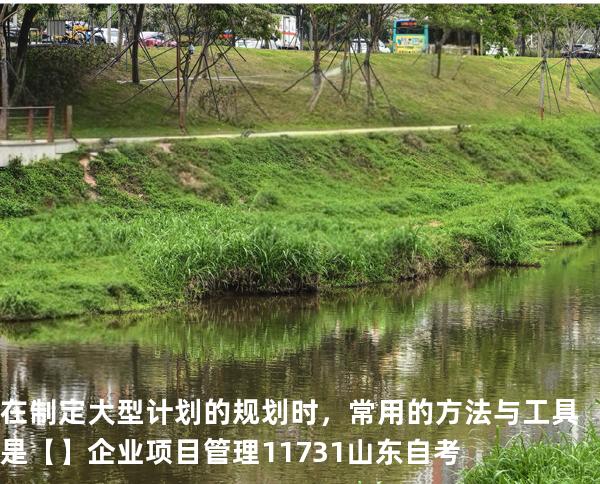 在制定大型计划的规划时，常用的方法与工具是【】企业项目管理 11731 山东自考