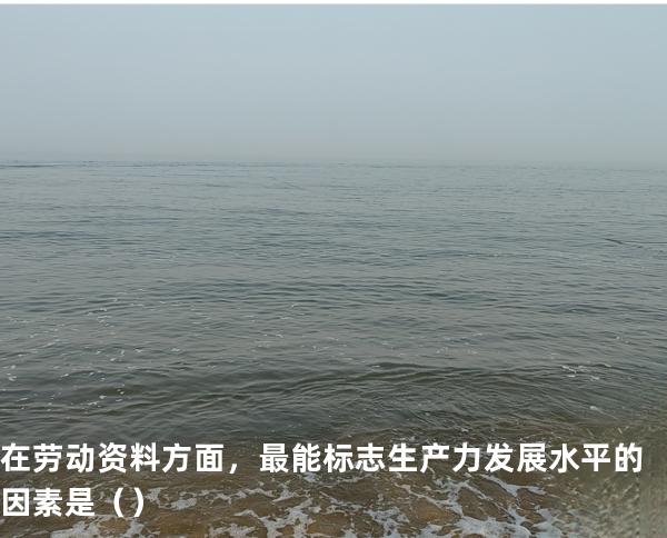 在劳动资料方面，最能标志生产力发展水平的因素是（ ）