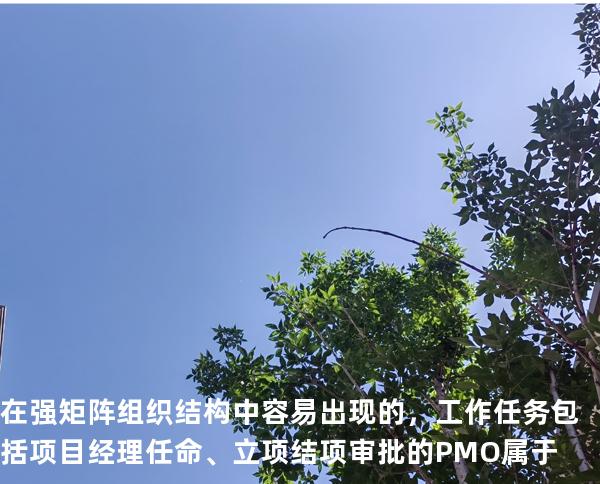 在强矩阵组织结构中容易出现的，工作任务包括项目经理任命、立项结项审批的PMO属于