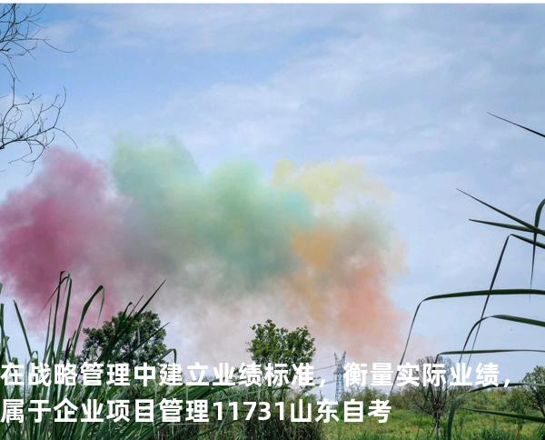 在战略管理中建立业绩标准，衡量实际业绩，属于企业项目管理 11731 山东自考