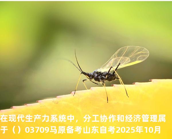 在现代生产力系统中，分工协作和经济管理属于（    ）03709 马原 备考山东自考2025年10月