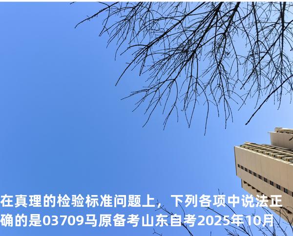 在真理的检验标准问题上，下列各项中说法正确的是 03709 马原 备考山东自考2025年10月