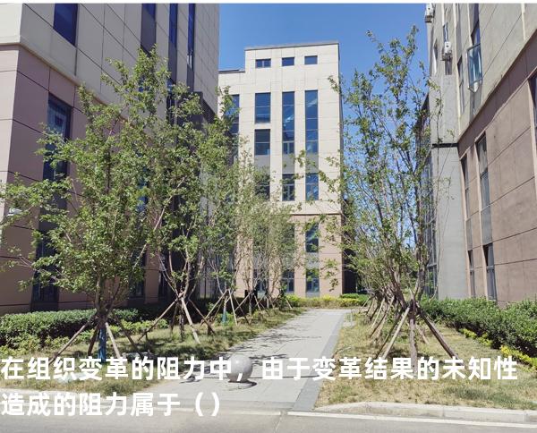 在组织变革的阻力中，由于变革结果的未知性造成的阻力属于（ ）