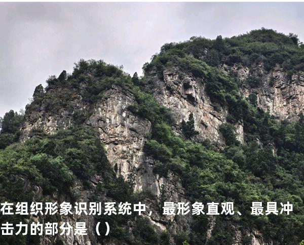 在组织形象识别系统中，最形象直观、最具冲击力的部分是   （ ）