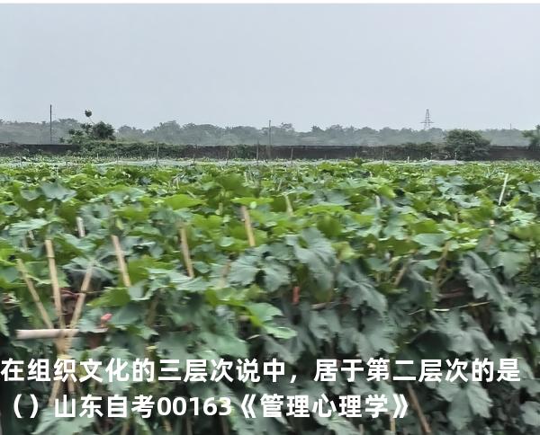 在组织文化的三层次说中，居于第二层次的是   （ ）  山东自考00163《管理心理学》