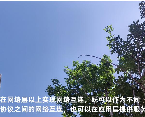 在网络层以上实现网络互连，既可以作为不同协议之间的网络互连，也可以在应用层提供服务的网络互联设备是