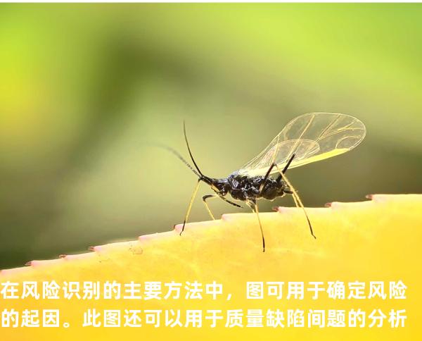 在风险识别的主要方法中，图可用于确定风险的起因。此图还可以用于质量缺陷间题的分析