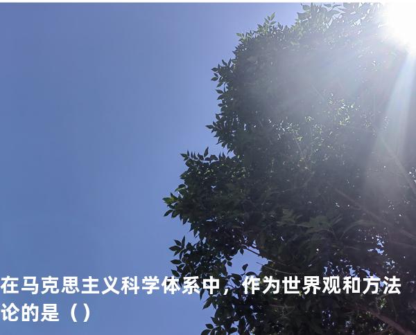 在马克思主义科学体系中，作为世界观和方法论的是（ ）