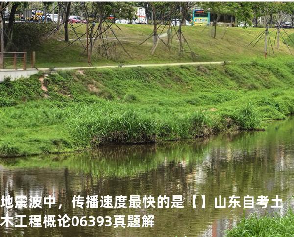 地震波中，传播速度最快的是【】山东自考 土木工程概论 06393 真题解