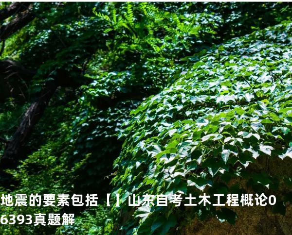 地震的要素包括【】山东自考 土木工程概论 06393 真题解