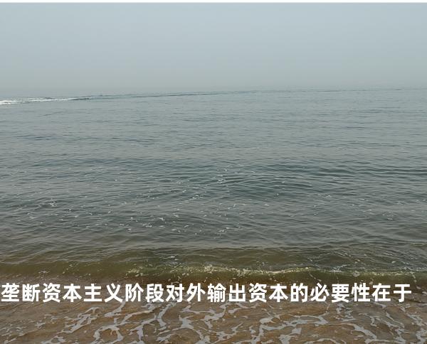 垄断资本主义阶段对外输出资本的必要性在于