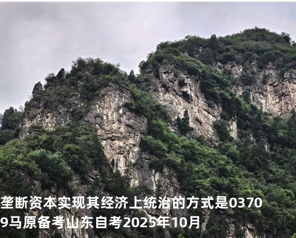垄断资本实现其经济上统治的方式是 03709 马原 备考山东自考2025年10月