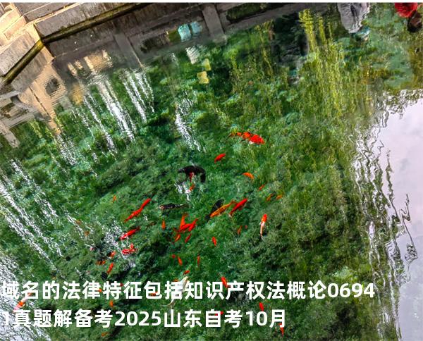域名的法律特征包括 知识产权法概论 06941 真题解 备考2025山东自考10月