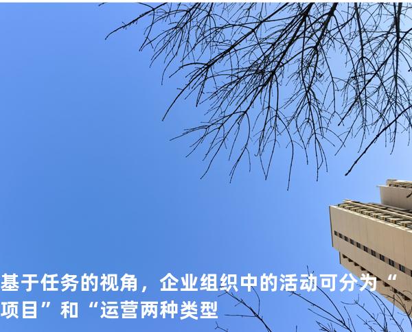 基于任务的视角，企业组织中的活动可分为“项目”和“运营两种类型