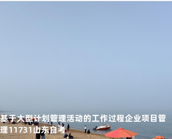 基于大型计划管理活动的工作过程 企业项目管理 11731 山东自考