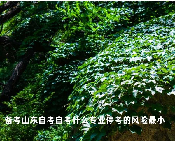备考山东自考 自考什么专业停考的风险最小