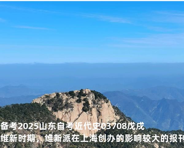 备考2025山东自考 近代史 03708 戊戌维新时期，维新派在上海创办的影响较大的报刊是
