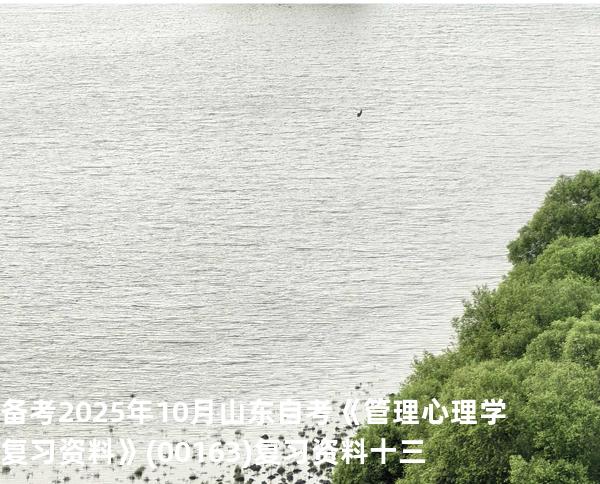 备考2025年10月山东自考《管理心理学复习资料》(00163)复习资料十三