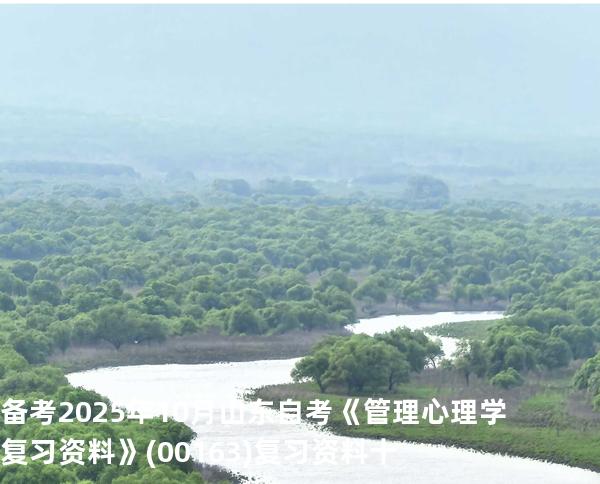 备考2025年10月山东自考《管理心理学复习资料》(00163)复习资料十