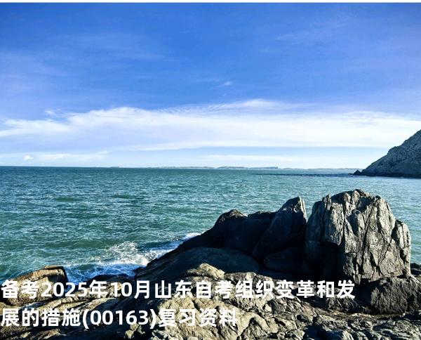 备考2025年10月山东自考 组织变革和发展的措施(00163)复习资料