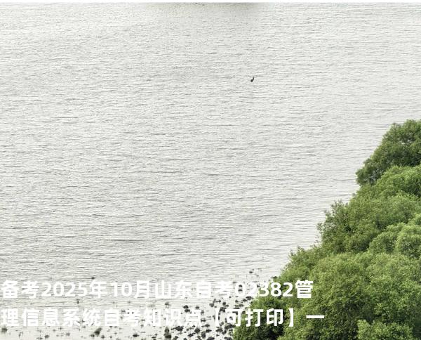 备考2025年10月山东自考02382管理信息系统自考知识点【可打印】一