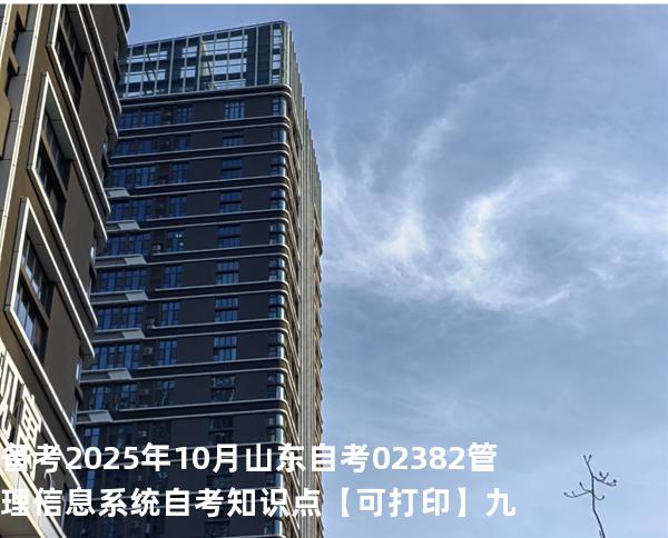 备考2025年10月山东自考02382管理信息系统自考知识点【可打印】九