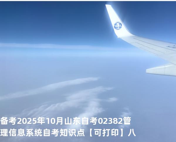 备考2025年10月山东自考02382管理信息系统自考知识点【可打印】八