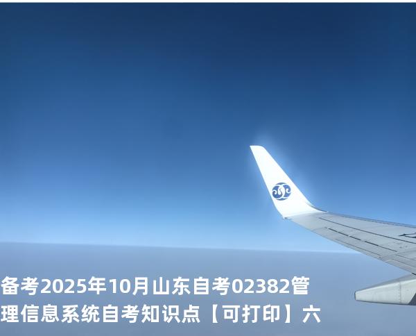 备考2025年10月山东自考02382管理信息系统自考知识点【可打印】六