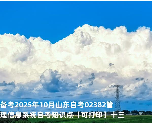 备考2025年10月山东自考02382管理信息系统自考知识点【可打印】十三