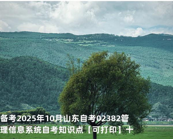 备考2025年10月山东自考02382管理信息系统自考知识点【可打印】十