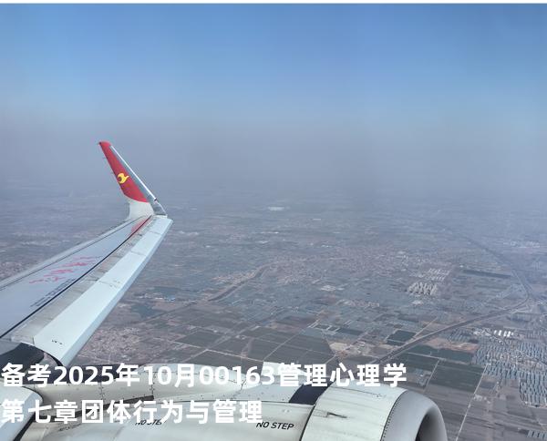 备考2025年10月00163管理心理学第七章 团体行为与管理