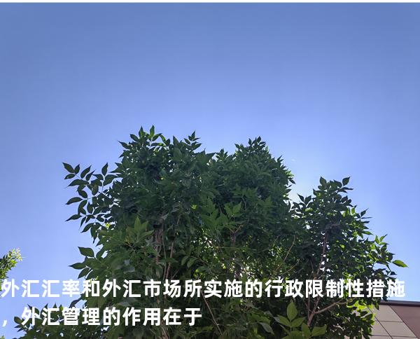 外汇汇率和外汇市场所 实施的行政限制性措施，外汇管理的作用在于