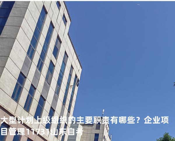 大型计划上级组织的主要职责有哪些？企业项目管理 11731 山东自考