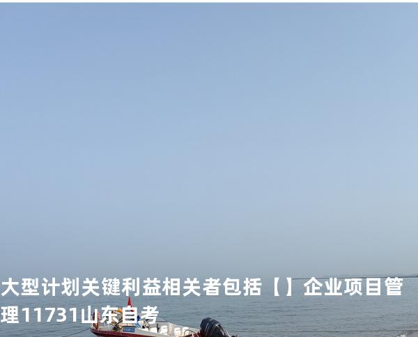 大型计划关键利益相关者包括【】企业项目管理 11731 山东自考