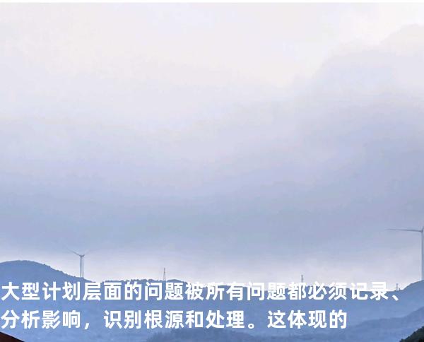 大型计划层面的问题被 所有问题都必须记录、分析影响，识别根源和处理。这体现的 